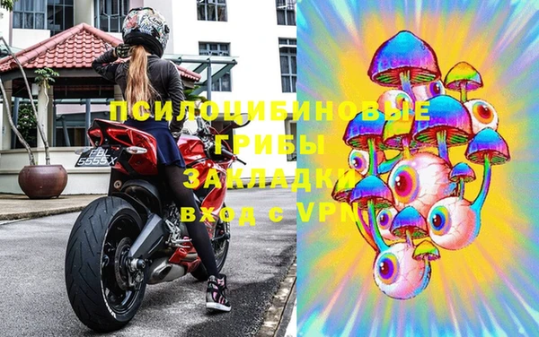 шишки Верхний Тагил